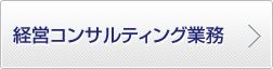 経営コンサルティング業務